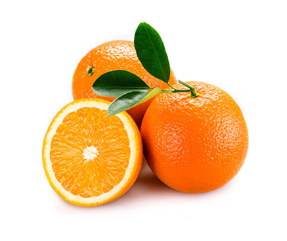  Portakal Yemelik